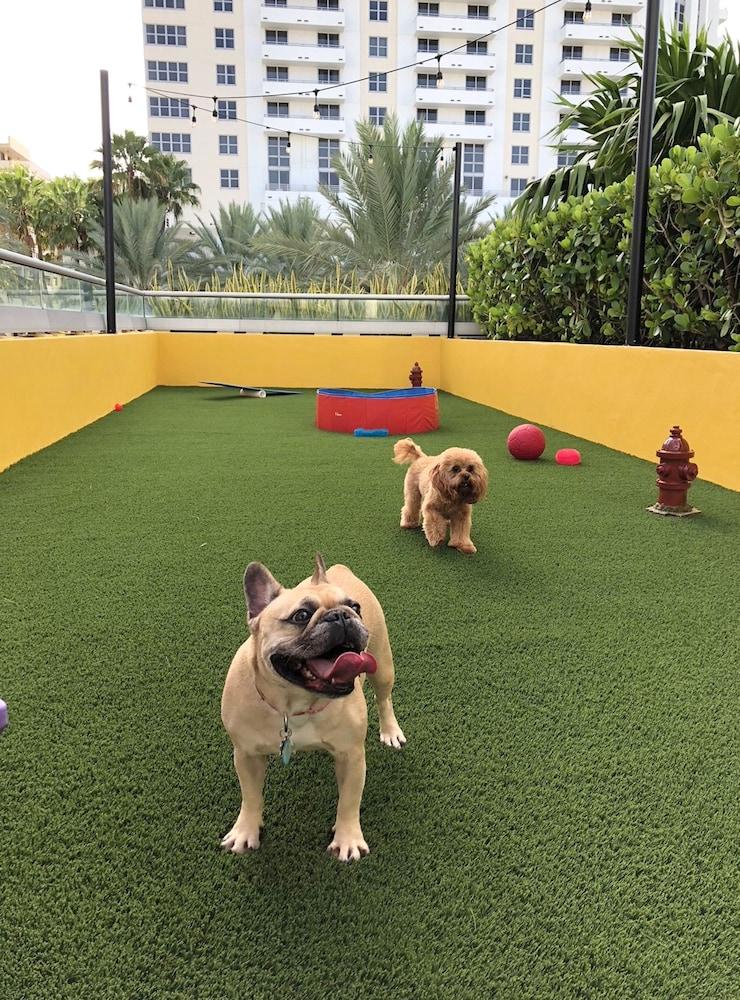 Hyatt Centric South Beach Miami Miami Beach Dış mekan fotoğraf